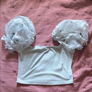 5/$25 Light Blue Embroidered Puff Sleeve Crop Top